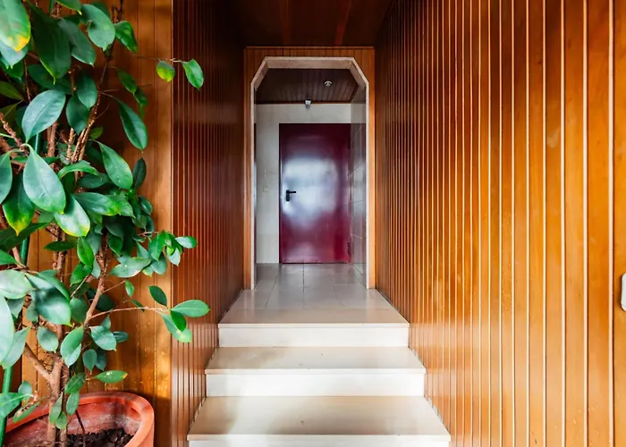 公寓 Terraco Da Linha - Bairro Calmo E 阿威罗